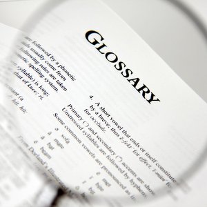 DEFINITIONS AND ASSUMPTIONS::MAGNIFIED VIEW OF GLOSSARY LAW IN A BOOK © pick-uppath | iStockPhoto.com DEFINITIONS AND ASSUMPTIONS::MAGNIFIED VIEW OF GLOSSARY LAW IN A BOOK © pick-uppath | iStockPhoto.com