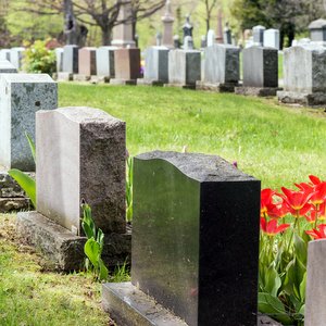 I AM DEAD TO THE LAW::HEADSTONES IN A CEMETARY © MarcBruxelle | iStockPhoto.com
