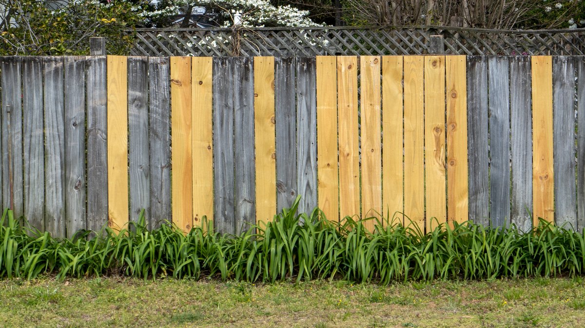 THE OLD LAW HAS BEEN REPLACED WITH THE NEW::NEW FENCE PLANKS REPLACED AMONG OLD PIECES © Noel V. Baebler | Shutterstock.com