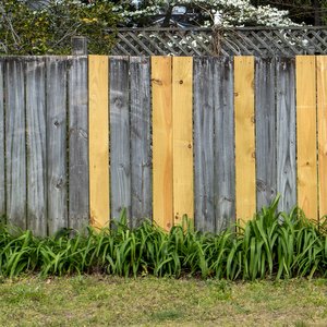 THE OLD LAW HAS BEEN REPLACED WITH THE NEW::NEW FENCE PLANKS REPLACED AMONG OLD PIECES © Noel V. Baebler | Shutterstock.com