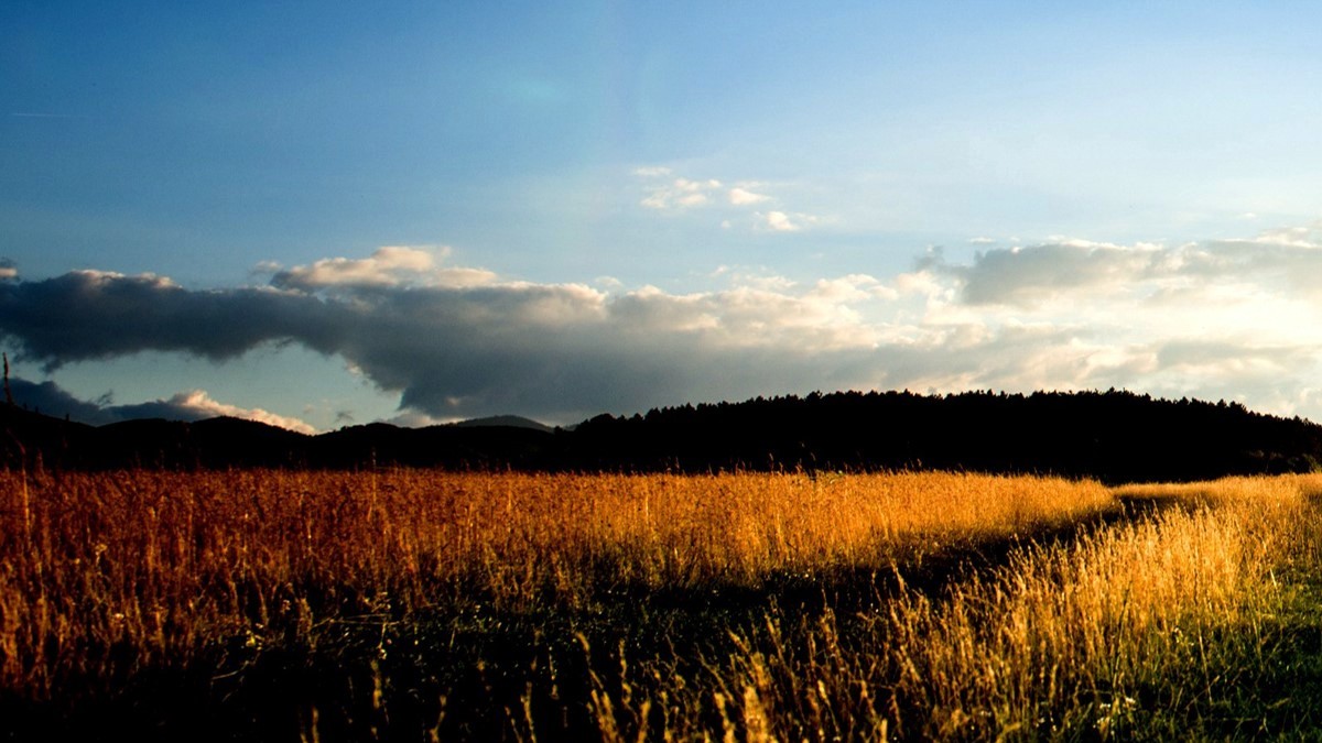 ADDITIONAL OBSERVATIONS::HILLS AT SUNRISE © AlexSava | OneMessianicGentile.com