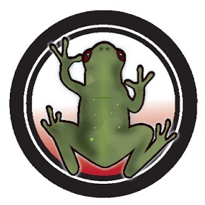 SECOND PLAGUE OF THE EXODUS-FROGS