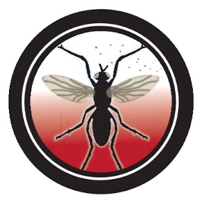 THIRD PLAGUE OF THE EXODUS-LICE