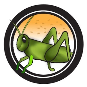 EIGHTH PLAGUE OF THE EXODUS-LOCUSTS