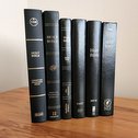 Modern English Bible translations