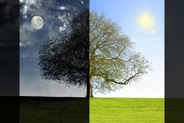 DAY VS NIGHT TREE CONCEPT © Lenazajchikova | Dreamstime.com