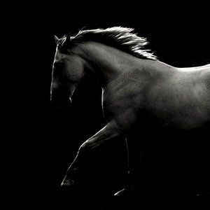 Return of the Messiah