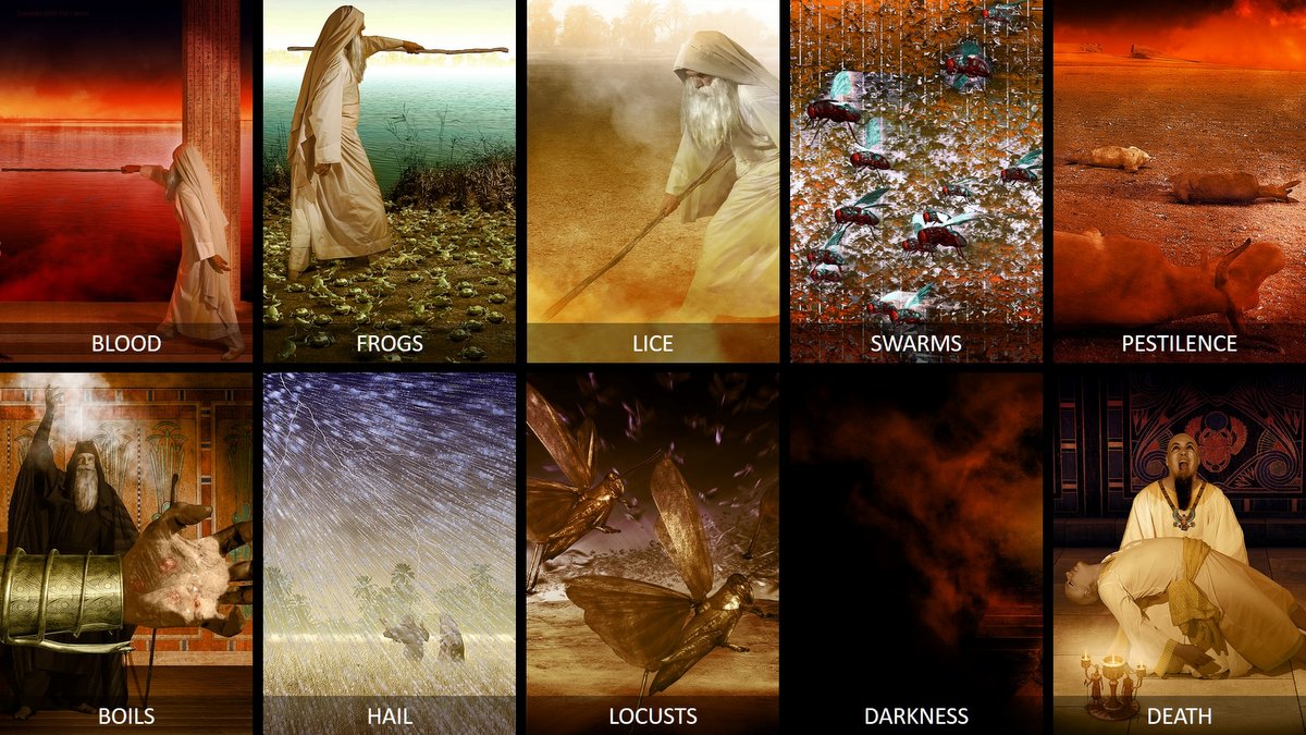  ::THE PLAGUES OF THE EXODUS COLLAGE © Brady Stephenson | OneMessianicGentile.com