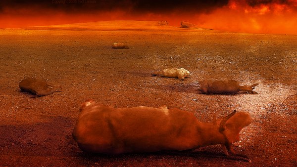 THE LIVESTOCK PLAGUE © Ted Larson | DigitalArtByTedLarson.net