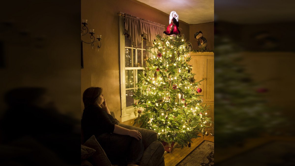 WHY WE DO NOT CELEBRATE CHRISTMAS::CHRISTMAS TREE WITH ADMIRER © Phil Mcdonald | Dreamstime.com