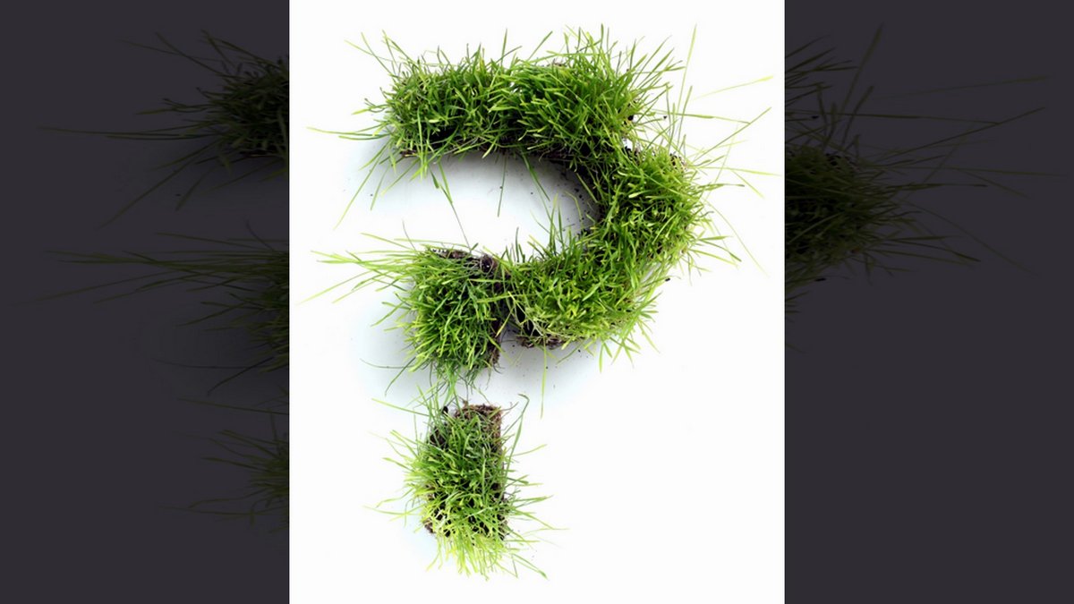 EASTER IS NOT IN SCRIPTURE::QUESTION MARK © Leigh Prather | Dreamstime.com