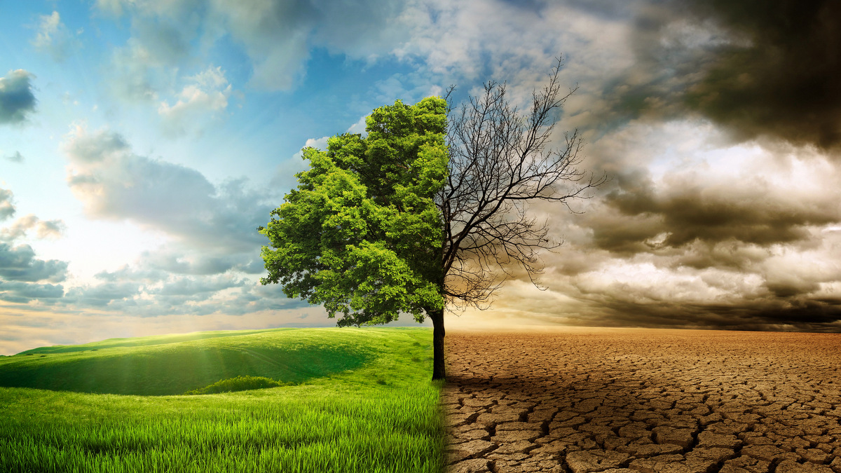 LIFE AND DEATH::GLOBAL WARMING © kevron2002 | DepositPhotos.com