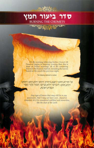 THE SEARCH FOR CHOMETZ (BACK) © Girls Town Or Chadash | GirlsTownOrChadash.org