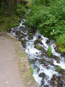 Wahkeena Falls at the bridge