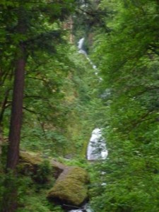 Wahkeena Falls- Upper