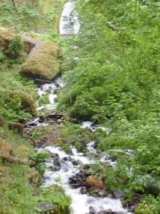 Wahkeena Falls- Middle