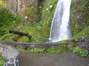 Wahkeena Falls- Lower
