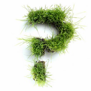 DIFFER FROM CHRISTIANITY?::QUESTION MARK © Leigh Prather | Dreamstime.com