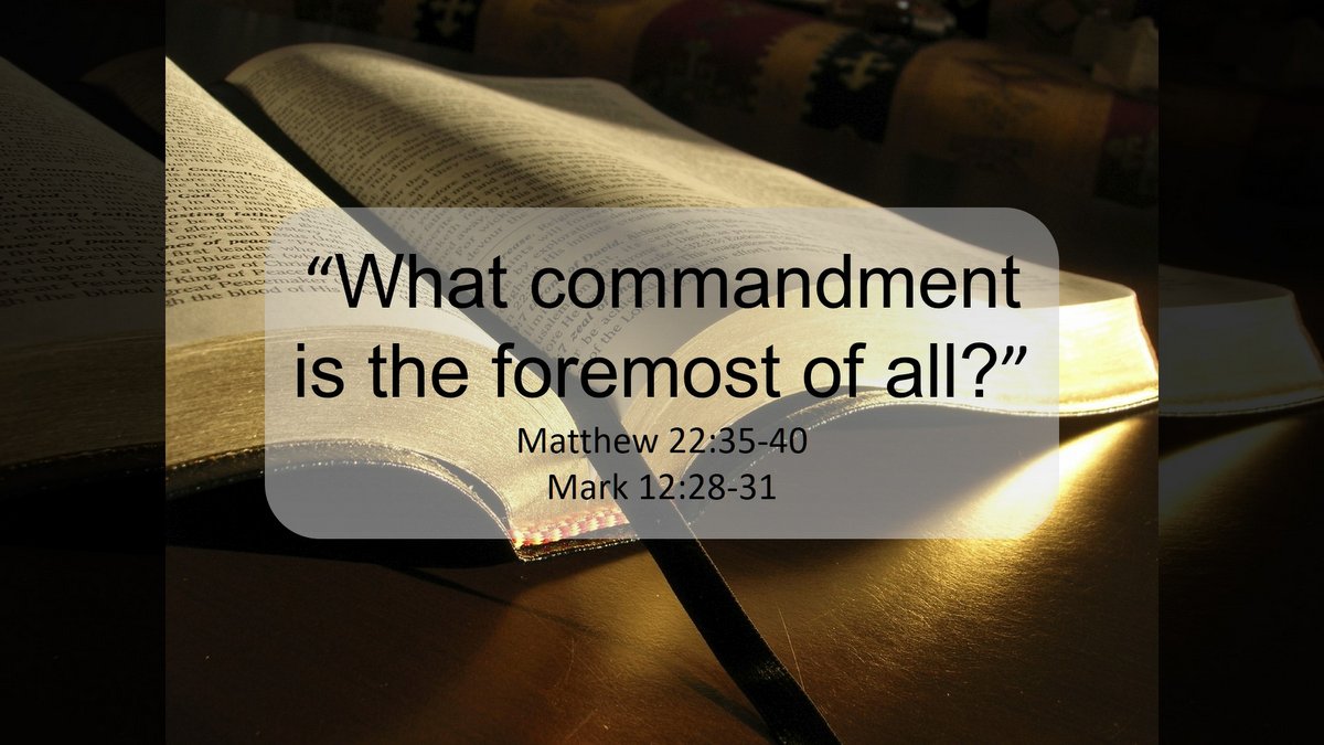  ::BIBLE © Zeliha Vergnes | iStockPhoto.com