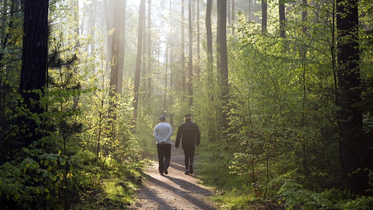 TWO PEOPLE AT MORNING WALK IN FOREST © wakila | iStockPhoto.com