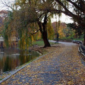 PANORAMIC PHOTO OF BOW BRIDGE © John Anderson | Dreamstime.com