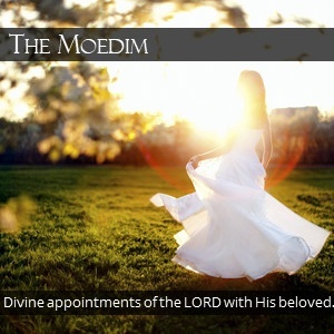 WOMAN IN WEDDING DRESS © piskunov | GettyImages.com