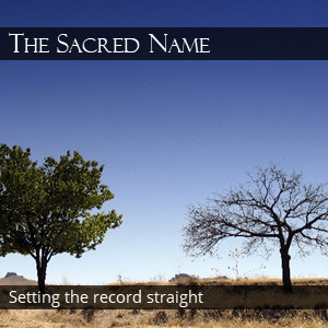 TWO TREES ALONE IN DESERT © weka | iStockPhoto.com