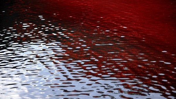 BLOOD RED RIPPLES ON WATER © Karen Black | Dreamstime.com