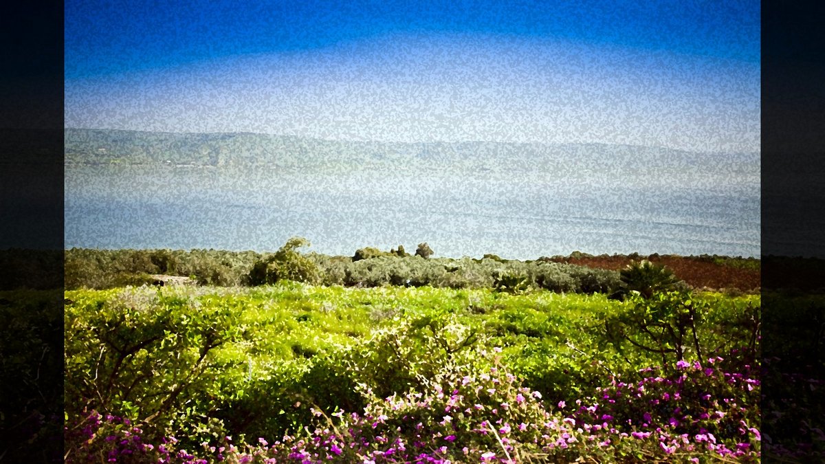 THE SEA OF GALILEE © Kristina Afanasyeva | Dreamstime.com