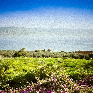 THE SEA OF GALILEE © Kristina Afanasyeva | Dreamstime.com