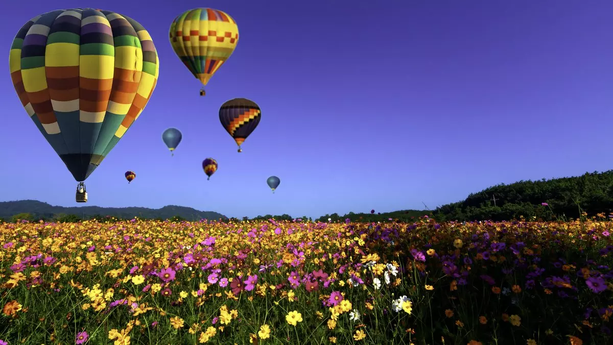 CHRIST IS THE END OF THE LAW::BEAUTIFUL HOT AIR BALLOONS FLYING OVER COSMOS FLOWER FIELD © photostocksuwannee | iStockPhoto.com