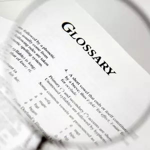DEFINITIONS AND ASSUMPTIONS::MAGNIFIED VIEW OF GLOSSARY LAW IN A BOOK © pick-uppath | iStockPhoto.com DEFINITIONS AND ASSUMPTIONS::MAGNIFIED VIEW OF GLOSSARY LAW IN A BOOK © pick-uppath | iStockPhoto.com