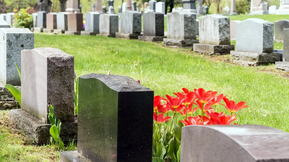 I AM DEAD TO THE LAW::HEADSTONES IN A CEMETARY © MarcBruxelle | iStockPhoto.com