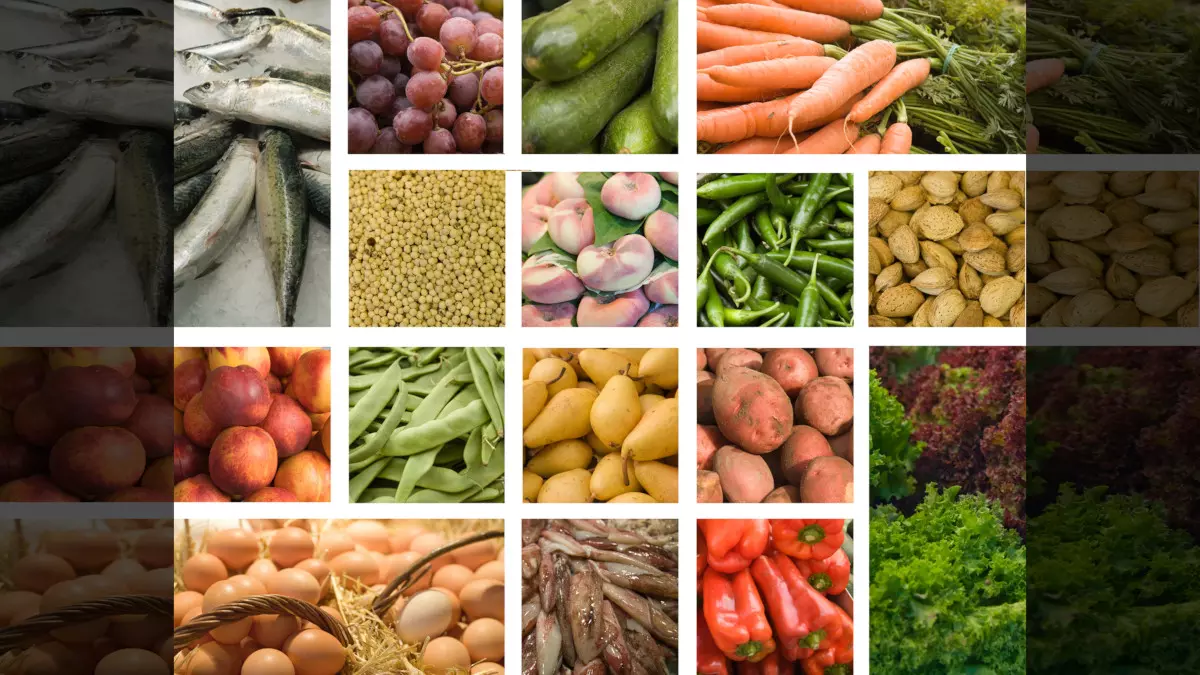 JESUS DECLARED ALL FOODS CLEAN::COLORFUL MARKET FOOD COLLAGE © Silvina Rusinek | Dreamstime.com