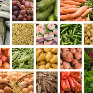 JESUS DECLARED ALL FOODS CLEAN::COLORFUL MARKET FOOD COLLAGE © Silvina Rusinek | Dreamstime.com