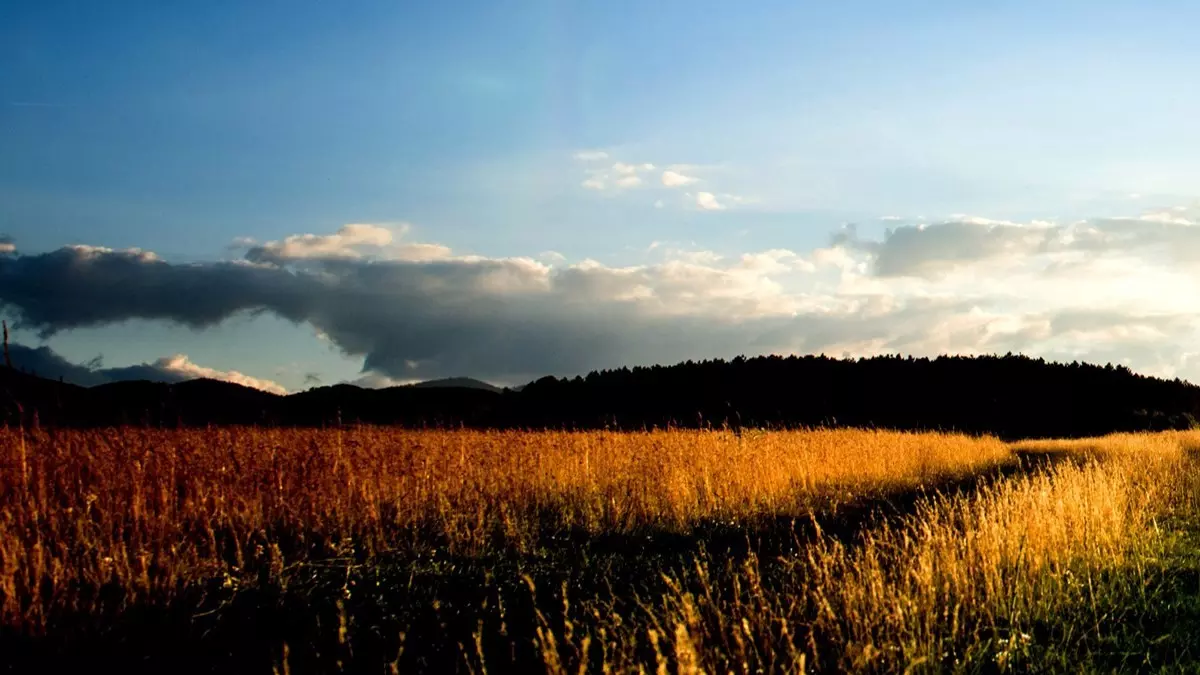 ADDITIONAL OBSERVATIONS::HILLS AT SUNRISE © AlexSava | OneMessianicGentile.com