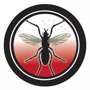 THIRD PLAGUE OF THE EXODUS-LICE