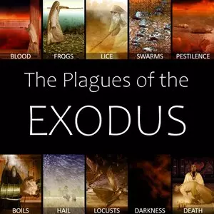  ::THE PLAGUES OF THE EXODUS COLLAGE © Brady Stephenson | OneMessianicGentile.com