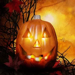 WHY WE DO NOT CELEBRATE HALLOWEEN::HALLOWEEN PUMPKIN © Eti Swinford | Dreamstime.com