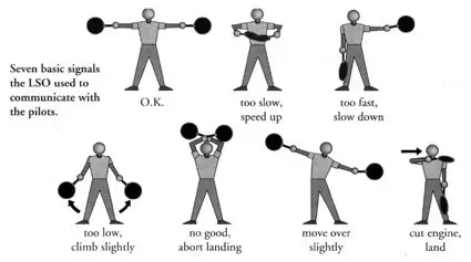 Basic LSO signals