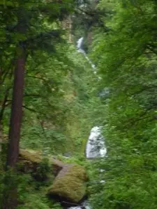 Wahkeena Falls- Upper