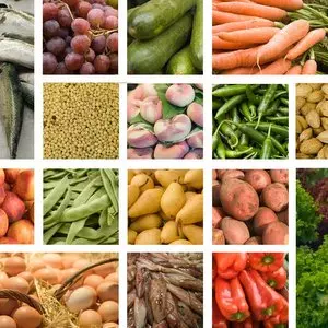 FOOD © Silvina Rusinek | Dreamstime.com FOOD © Silvina Rusinek | Dreamstime.com