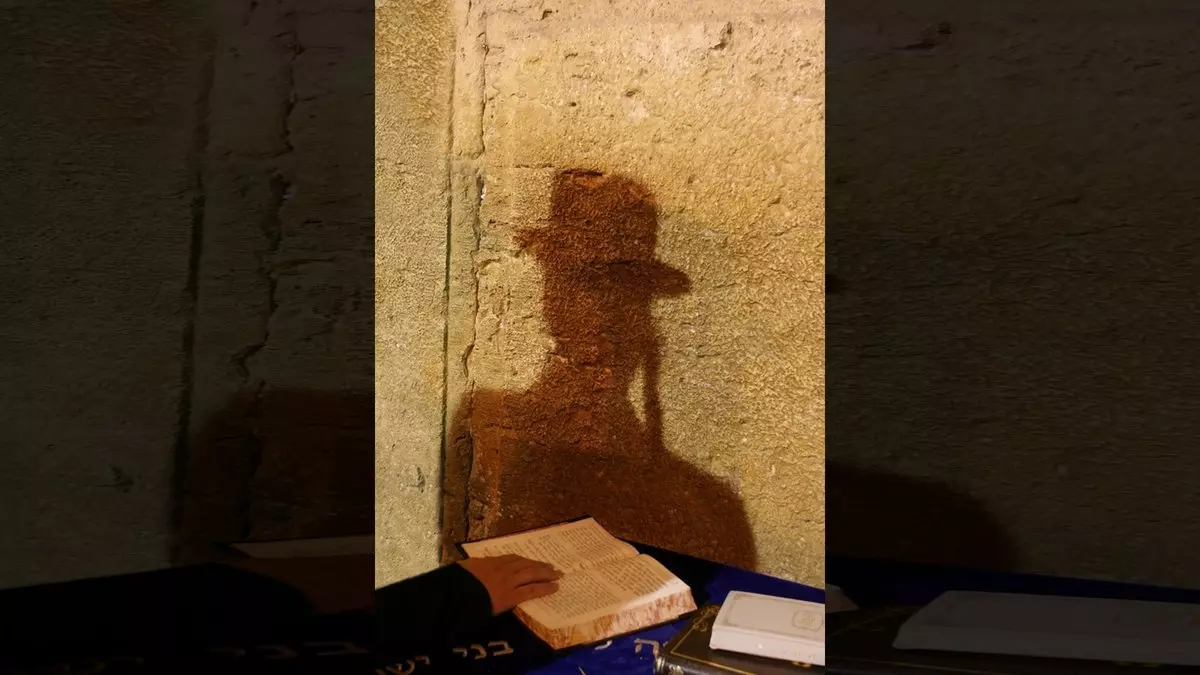 TRADITION::SHADOW 2 © Mikhail Levit | Dreamstime.com