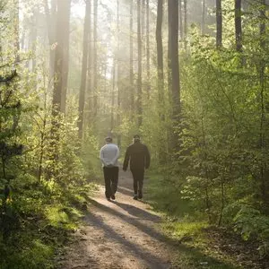 TWO PEOPLE AT MORNING WALK IN FOREST © wakila | iStockPhoto.com