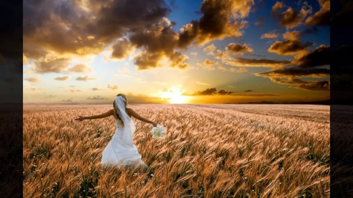 BRIDE IN A FIELD OF WHEAT © Karen DeWitte | Google Images