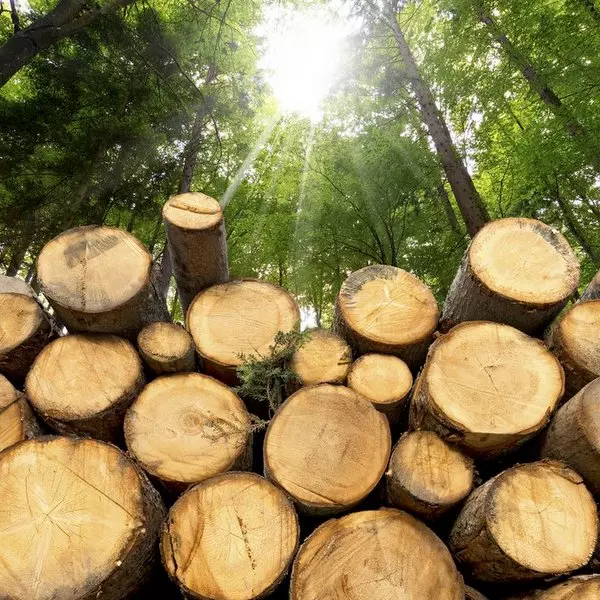 Resources