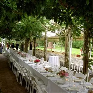 VINEYARD WEDDING © Unknown | Google Images VINEYARD WEDDING © Unknown | Google Images