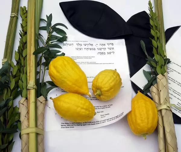THE FOUR SPECIES OF SUKKOT © Arim44 | Dreamstime.com