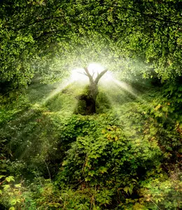 GARDEN EDEN © Yuriy Mazur | Dreamstime.com