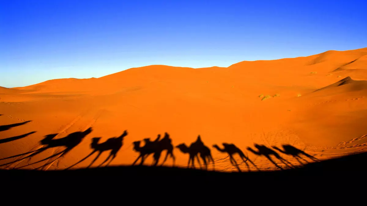 LECH LECHA::CARAVAN IN THE DESERT © Simone Matteo Giuseppe Manzoni | Dreamstime.com